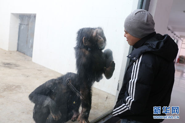 Survival tips for animals in freezing cold Jilin