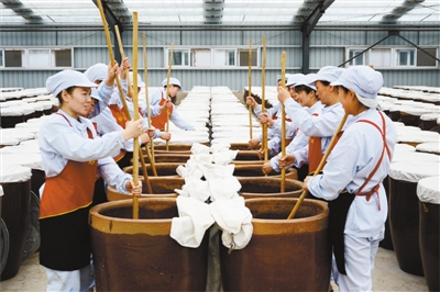 Traditional soybean paste of NE China