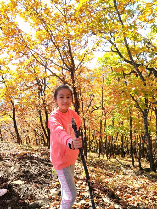 Piano, guzheng combo: Jilin girl's 'one-person band'