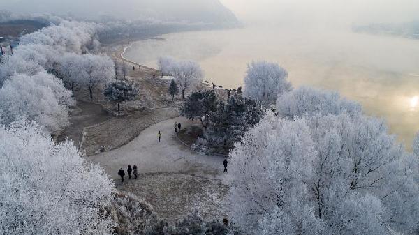 Rime scenery along Songhua River in Jilin