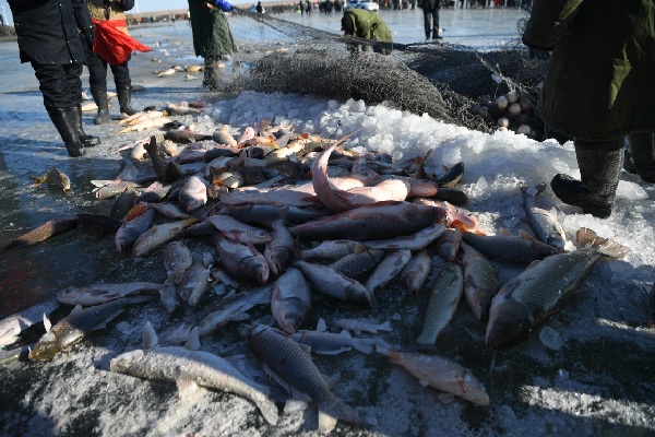 Traditional winter fishing on Chagan Lake
