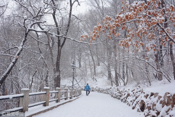 Picturesque snowfall blankets Jilin city in early spring