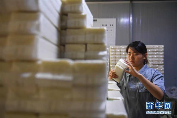 Rice increases living standards in Huinan county, Jilin