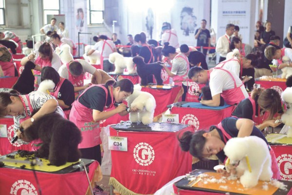 Changchun expo focuses on pet industry