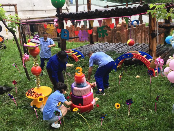 Panda celebrates 3rd birthday in Changchun