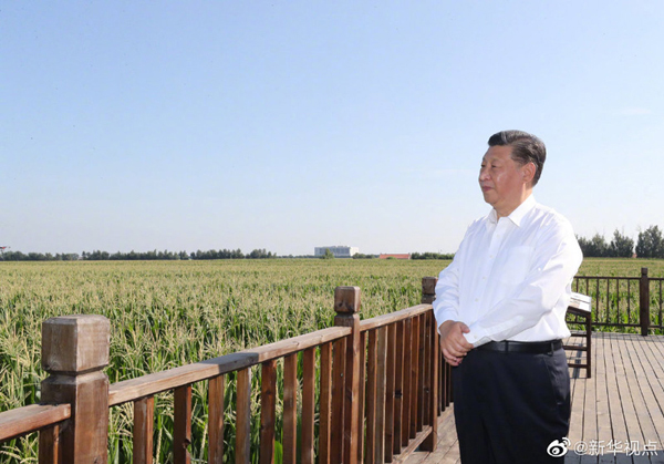 Xi inspects Northeast China's Jilin province