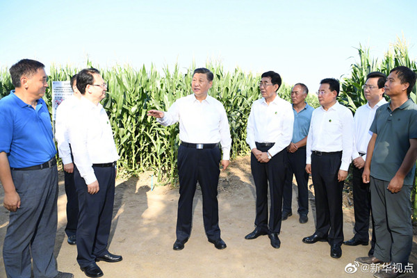 Measures must be taken to protect black soil: Xi
