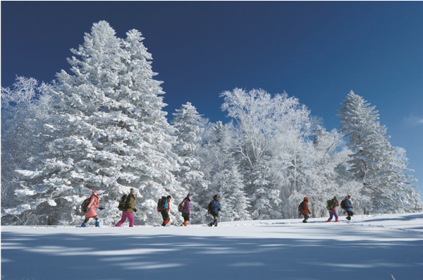 Visiting China Online: Jilin
