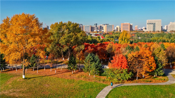 Spectacular Changchun provides perfect autumn scenery