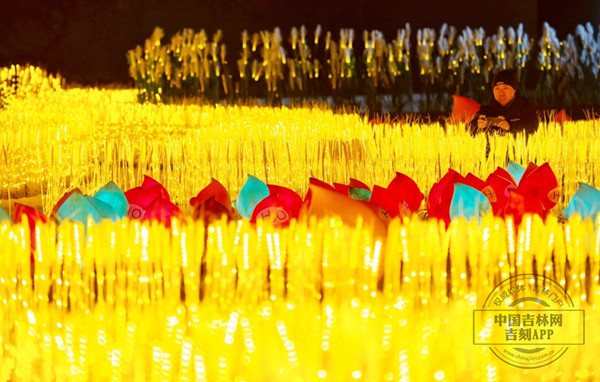 Unforgettable lighting makes Changchun park a must-see