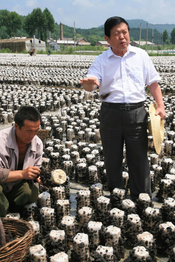 Edible fungus industry helps with poverty alleviation