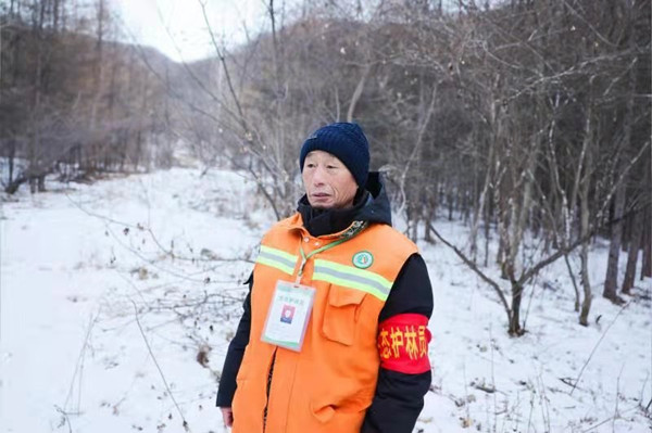 Humble Jilin forest ranger wins national recognition