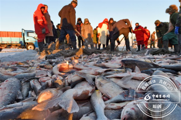 Mysterious ritual held for fish harvest