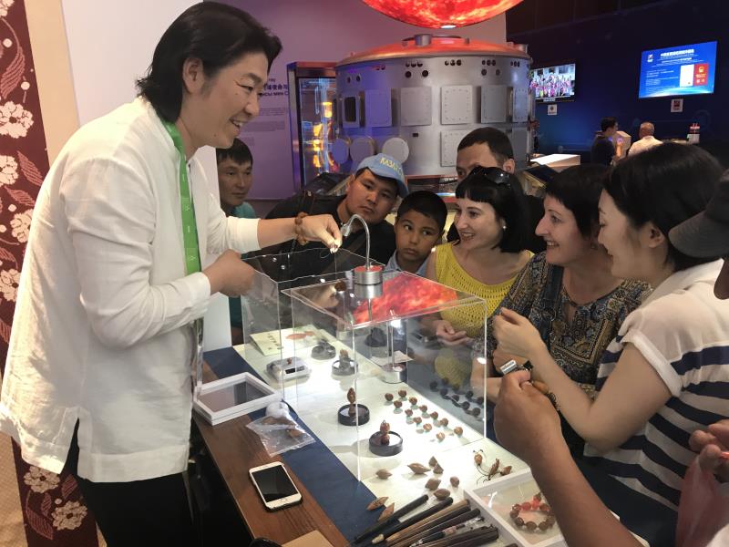 江苏周非遗展示“惊艳”世博