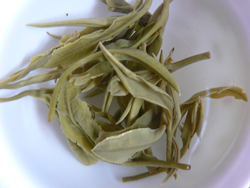Types of teas in Anhui province