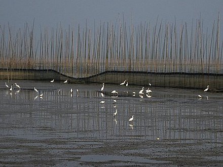 Shengjin Lake