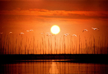 Shengjin Lake