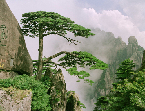 Huangshan Mountain