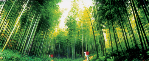 Putang Scenic Area