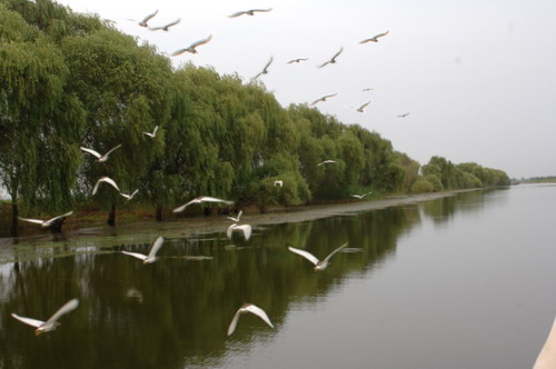 Jiaogang Lake Scenic Area