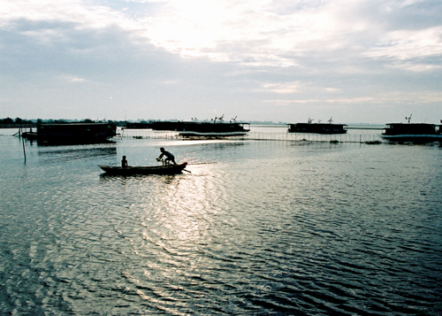 Jiaogang Lake Scenic Area