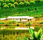 What do Hui merchants conduct?