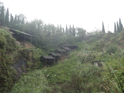 Tongling, A Hidden Gem within the Middle Kingdom