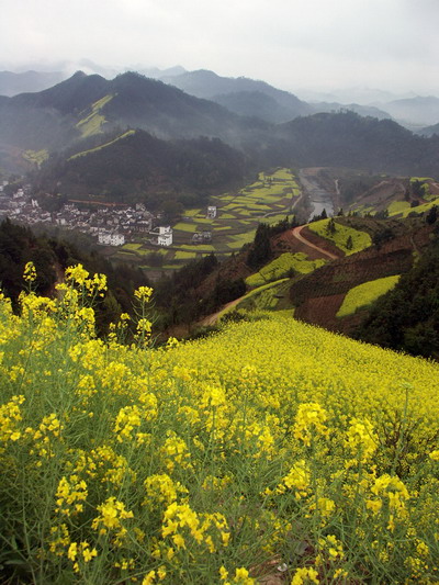 Anhui dishes, Anhui tastes