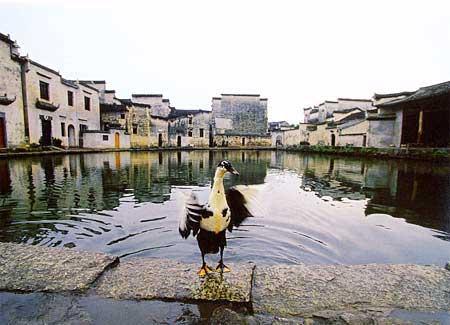 World Cultural Heritage: Ancient Villages in Southern Anhui