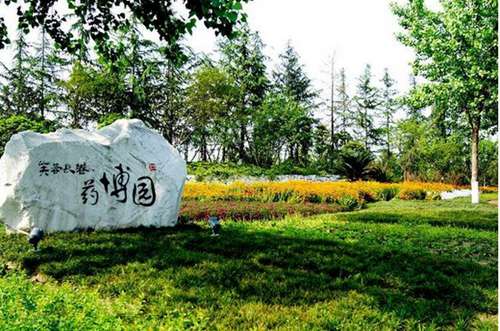 Wenjiang TCM Botanical Garden