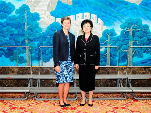 Li Bin meets with British Ambassador in China