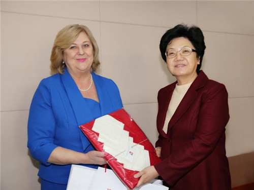 Li Bin meets with Lithuanian health minister