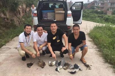 Clue from Internet helps Rare-bird hunter arrest