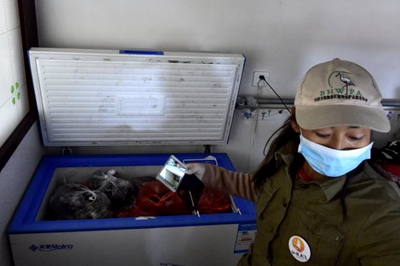 Tianjin volunteers destroy a migrant bird killing operation