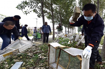 Tianjin volunteers destroy a migrant bird killing operation