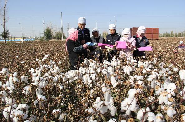 Migrant workers receive legal education in cotton field