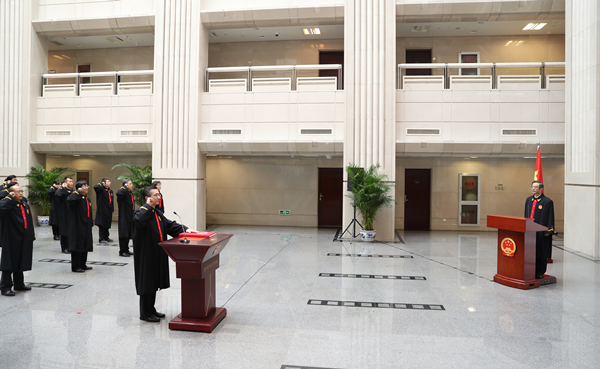 Judges pledge allegiance to Constitution