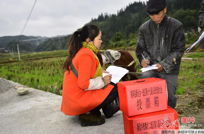 Villagers vote in their fields to select NPC deputies