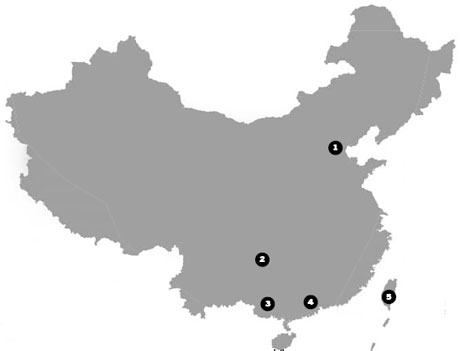 IP Scene (2011-01-05)