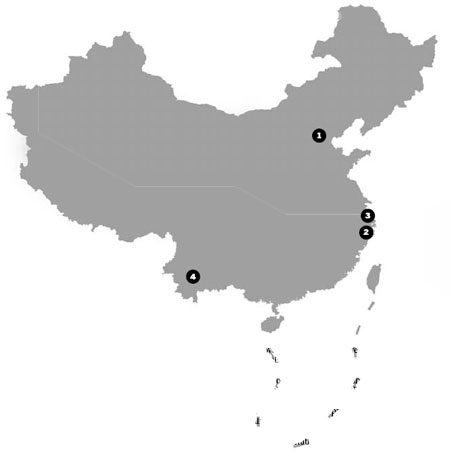IP scene (2011-3-30)