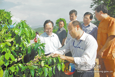 Delegates visit Dehong