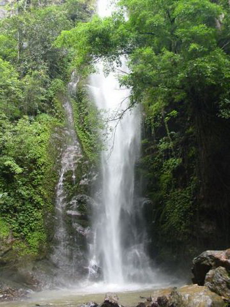 Moli Tropical Rain Forest Area