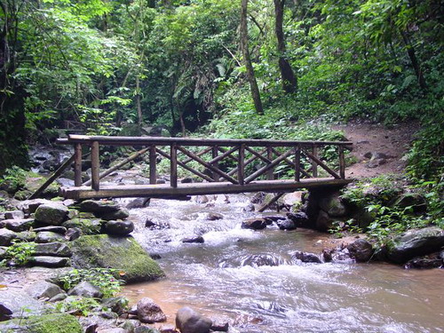 Moli Tropical Rain Forest Area