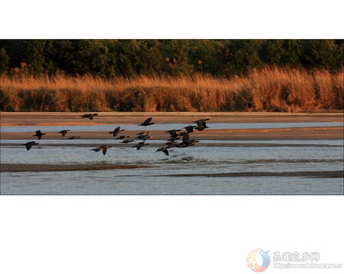 Photos by He Xuesheng