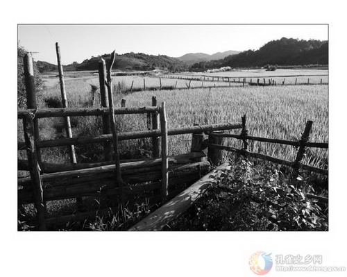 Photos by He Xuesheng