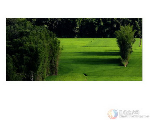 Photos by He Xuesheng