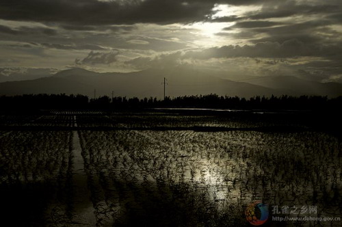 Photos by Li Weiyang