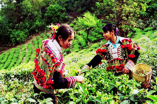 Photos by Song Linwu