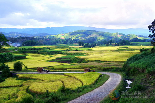 Photos by Luo Hongfang