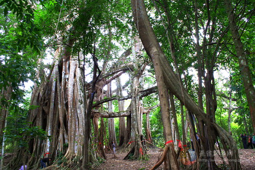 Photos by Luo Hongfang